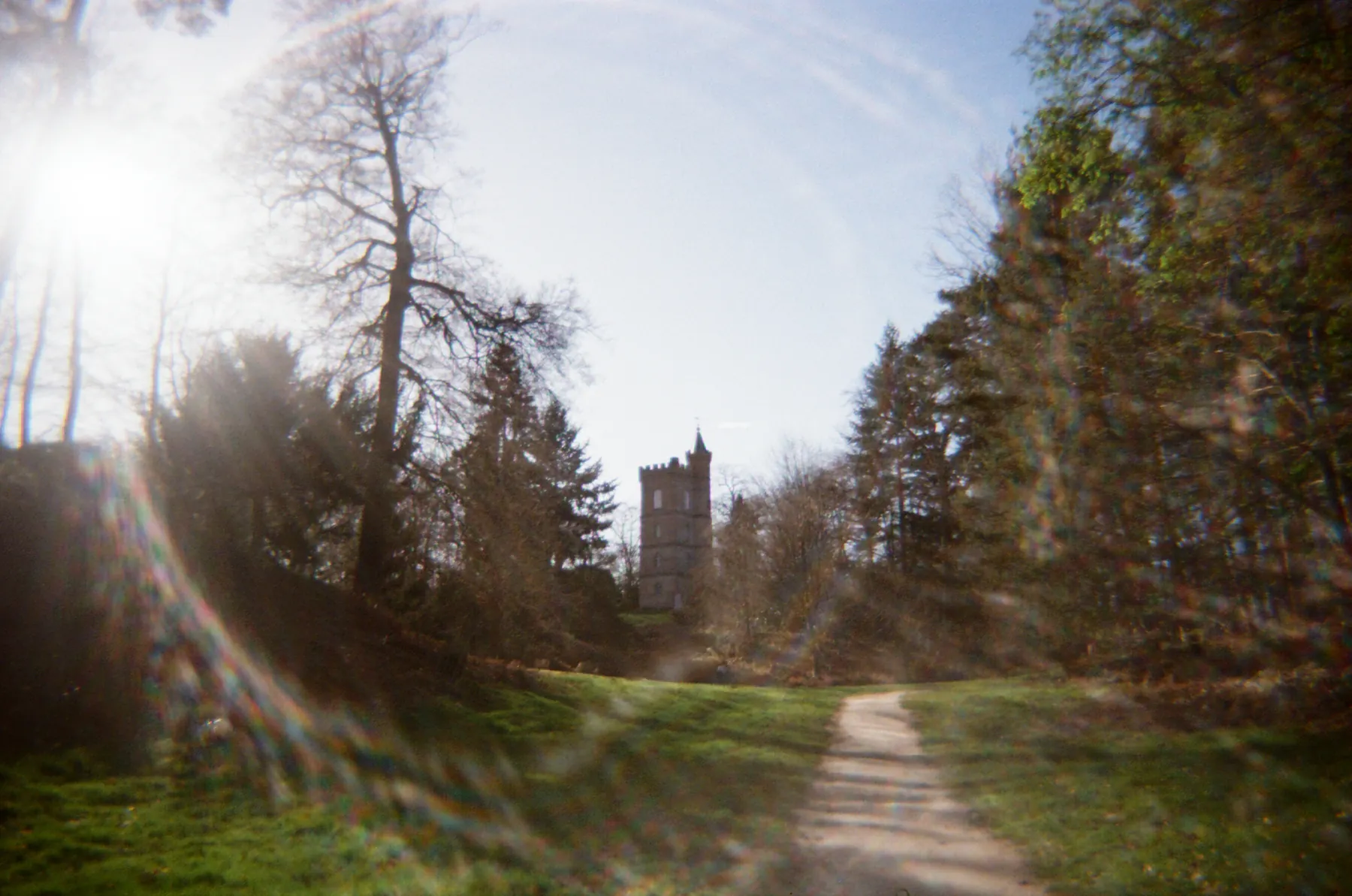 Sunlight across a tree-lined path and distant tower