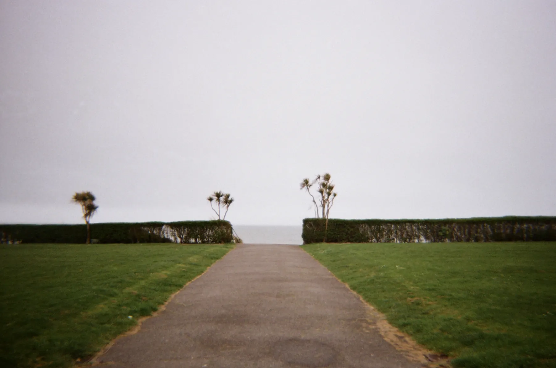 A path between lawns and hedges leading towards the sea
